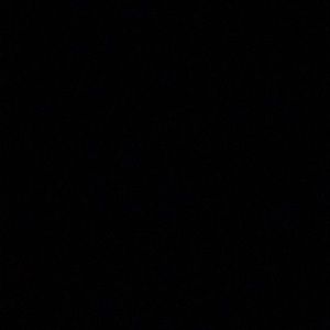 Meet your Posher, Sal